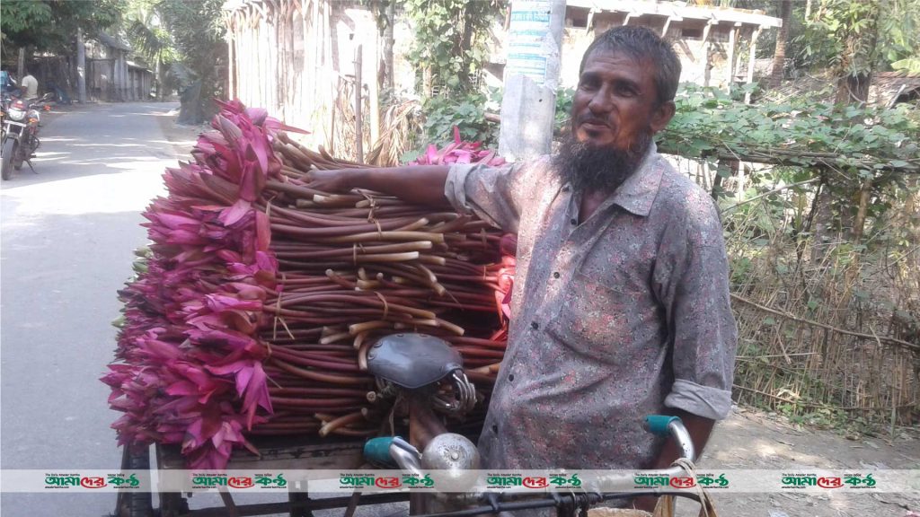 পাইকগাছায় শাপলা ফুল বিক্রি করে সংসার চলছে এরফানের 