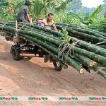 তালার ৬ কিলোমিটার রাস্তা মরণফাঁদে পরিণত,দেখার কেউ নেই