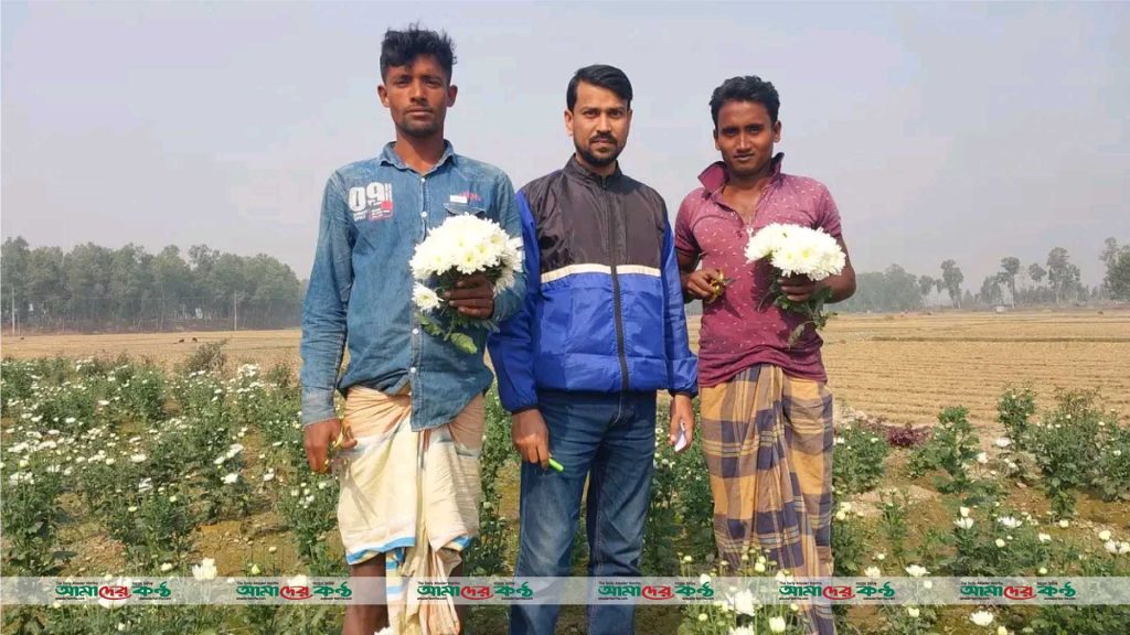 পীরগঞ্জে বানিজ্যিকভাবে ফুল চাষ করে স্বাবলম্বী আব্দুল হামিদের পরিবার