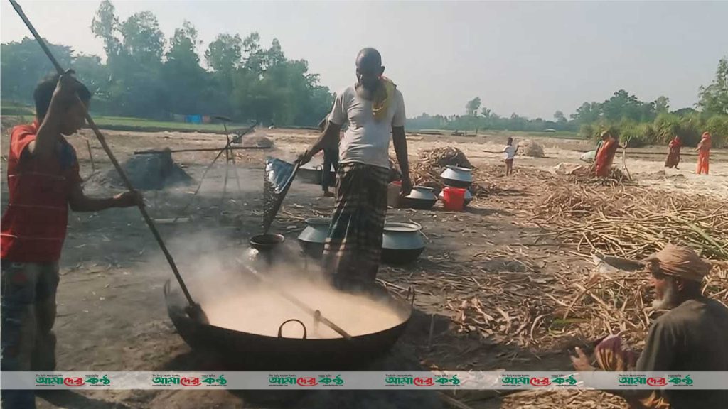 পলাশবাড়ীতে গুড় তৈরিতে ব্যস্ত সময় পার করছে আখ চাষিরা