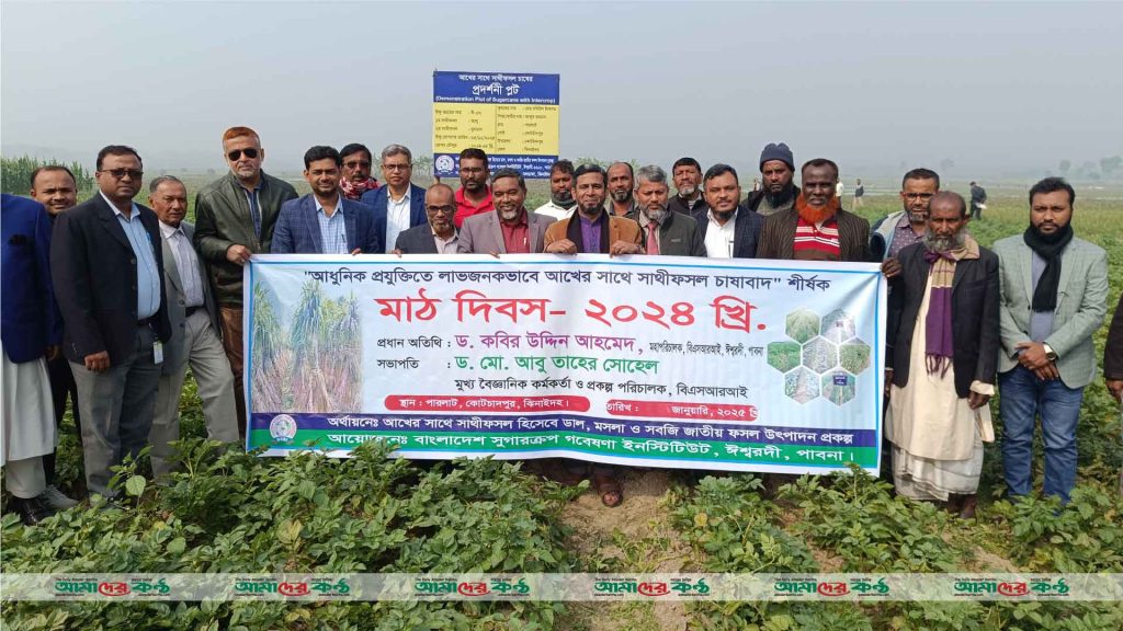 ঝিনাইদহে আধুনিক প্রযুক্তিতে আখ চাষের  সাথে সাথীফসল চাষাবাদ শীর্ষক মাঠ দিবস অনুষ্ঠিত